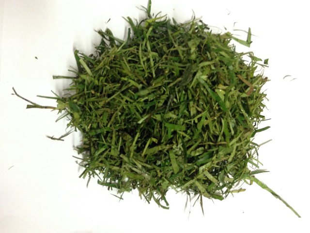 fumbwa-eru