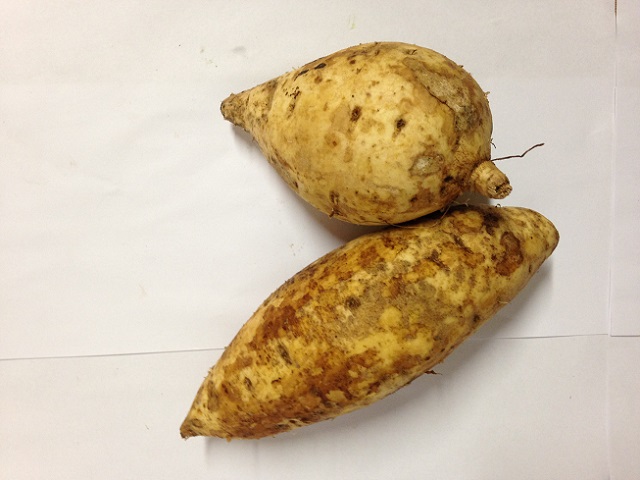 Patate-blanche